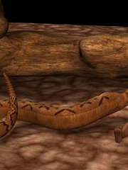 bloody roar alice hentai