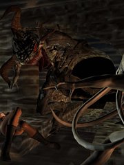 tomb raiders hentai